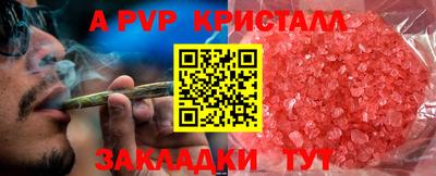 ПСИЛОЦИБИНОВЫЕ ГРИБЫ Заводоуковск
